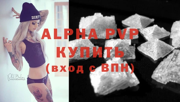 стафф Заволжье