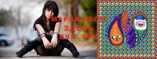 стафф Заволжье