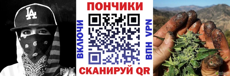 Купить закладки  Красный Кут  Бошки марихуана VHQ 